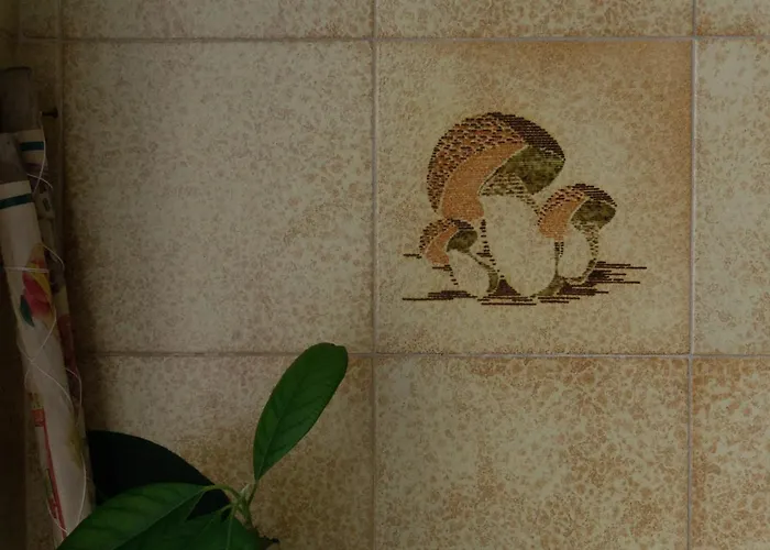 A'rasal Pensión Irsina